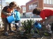 Alumnes regant les plantes