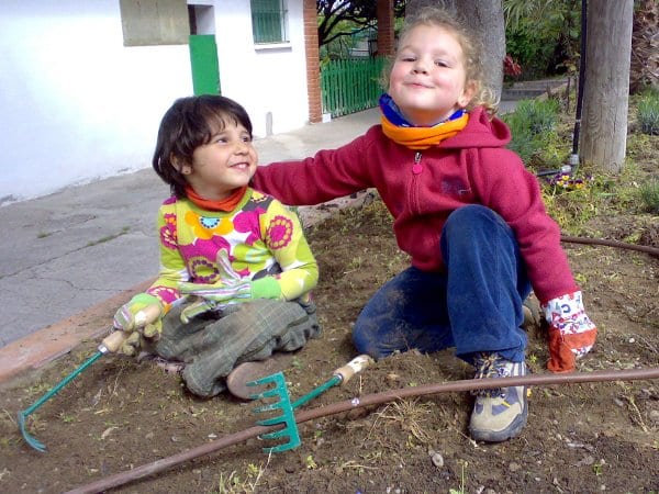 Imatge de complement